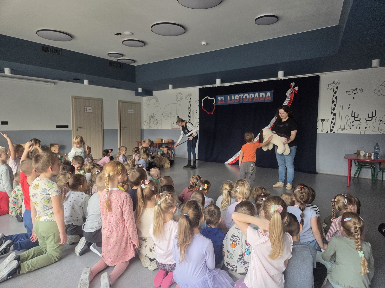 Zwierzaki bezdomniaki